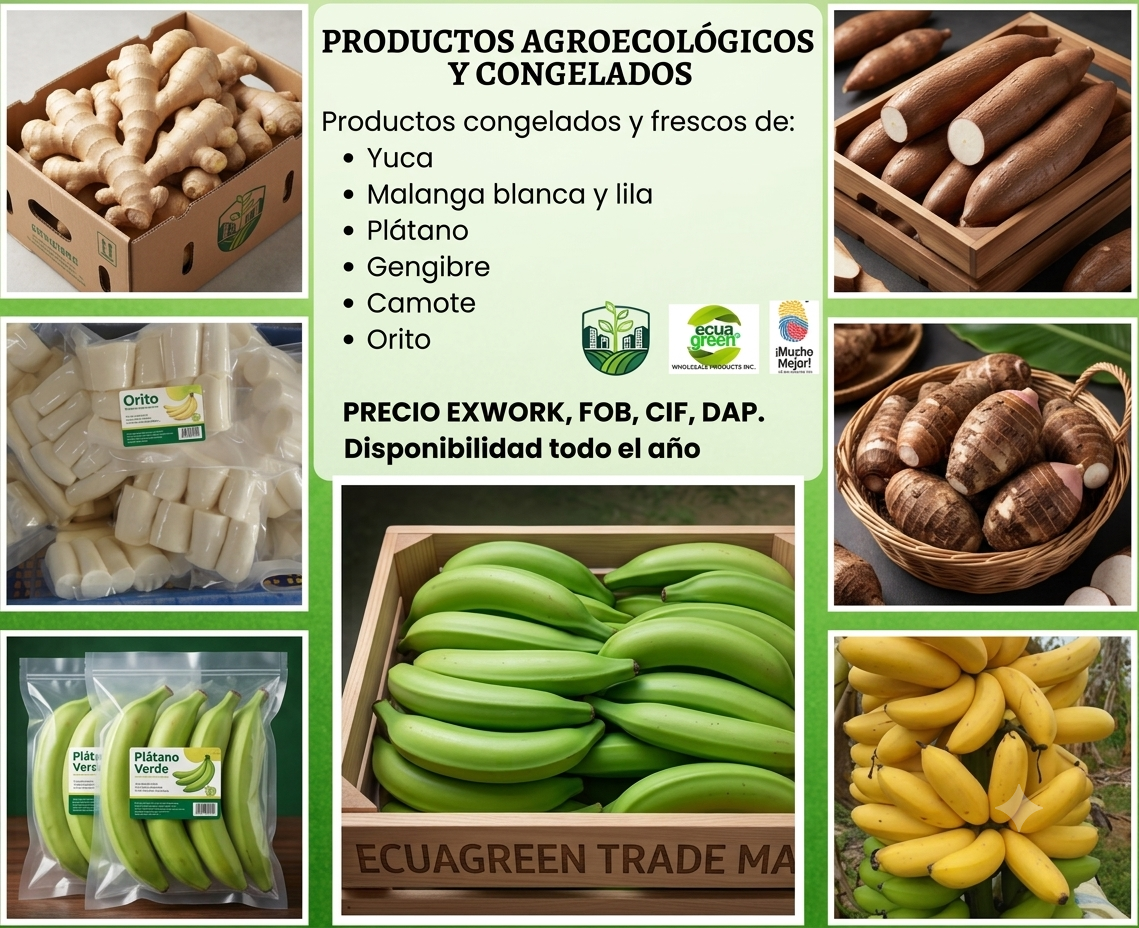 Productos Agroecológicos